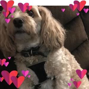 Meet your Posher, Catherine